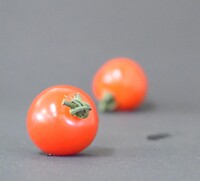 児童が撮ってみたトマトです。