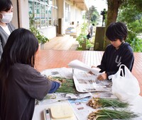 収穫した野菜を袋詰め