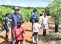 モリンガ農場を見学する子ども達