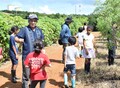 モリンガ農場を見学する子ども達