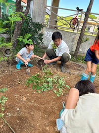 手の空いている児童は途中モリンガの地植えに挑戦