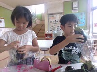 野菜の袋詰め