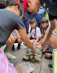 カフェではゾウガメの諭吉くんがお出むかえ