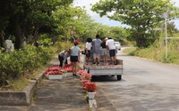 歩道の飾り付け