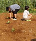 小学生