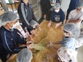 (写真①)煮大豆、麦麹菌、塩、煮汁、酒を混ぜ合わせます。