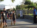 さすがに葉っぱがおおいですね。