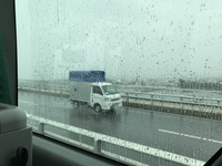 お天気は・・