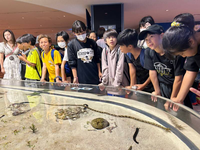 美ら海水族館