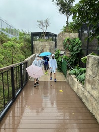子どもの国